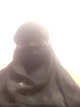 amolicars online show from 31, 10, 2025