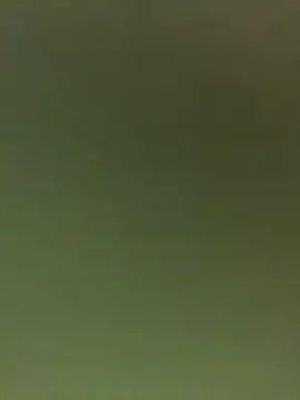 Snapshot of JuanitaMore01 chatting on 16, 2, 2026 JuanitaMore01 online show from 16, 2, 2026