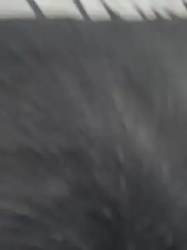 Snapshot of JuanitaMore01 chatting on 21, 2, 2026 JuanitaMore01 online show from 21, 2, 2026