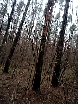 llass55 online show from 18, 11, 2025