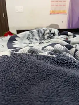 Snapshot of jackyw chatting on 4, 11, 2025 jackyw online show from 4, 11, 2025