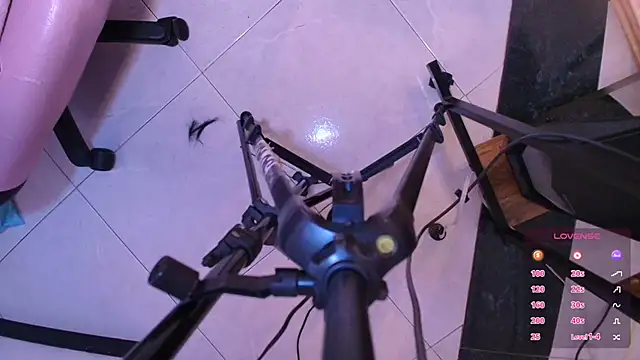 Terraelowen online show from 1, 11, 2025