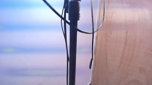 Terraelowen online show from 20, 2, 2026