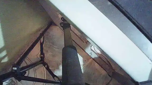 Terraelowen online show from 24, 3, 2026