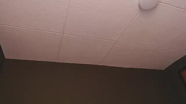 PaulEvens online show from 16, 12, 2025