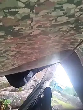 Snapshot of Alabestia12 chatting on 5, 11, 2025 Alabestia12 online show from 5, 11, 2025