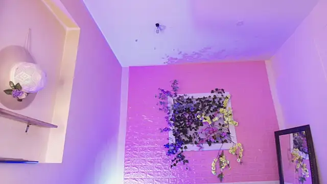 Katy bratz  online show from 10, 9, 2025