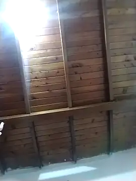 solpeich online show from 28, 2, 2026