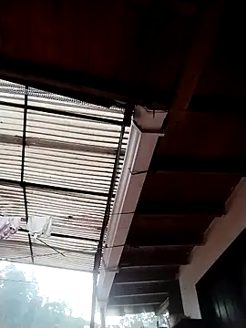 solpeich online show from 6, 3, 2026