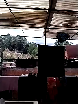 solpeich online show from 4, 4, 2026