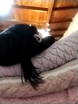 solpeich online show from 15, 10, 2025