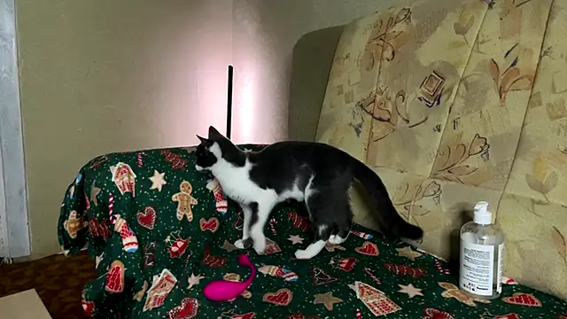 Marinpeach online show from 23, 2, 2026