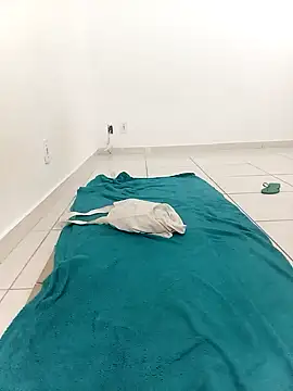 flavinhasensual online show from 21, 9, 2025