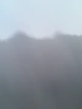 Stellapower online show from 11, 11, 2025