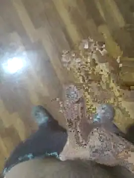 rayane7xx online show from 28, 11, 2025