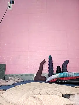 Rose 194 online show from 18, 11, 2025