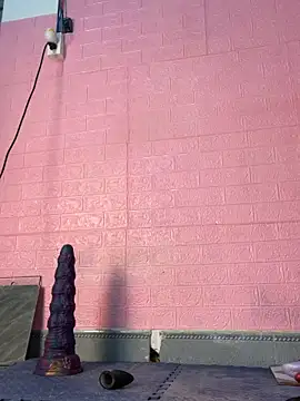 Rose 194 online show from 23, 2, 2026