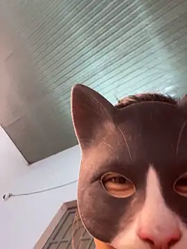 Rose 194 online show from 10, 4, 2026