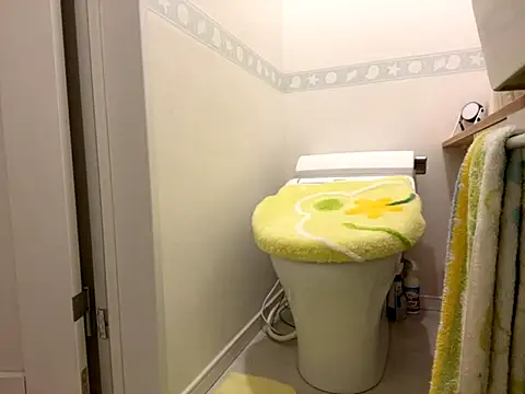 sora 033 online show from 16, 9, 2025