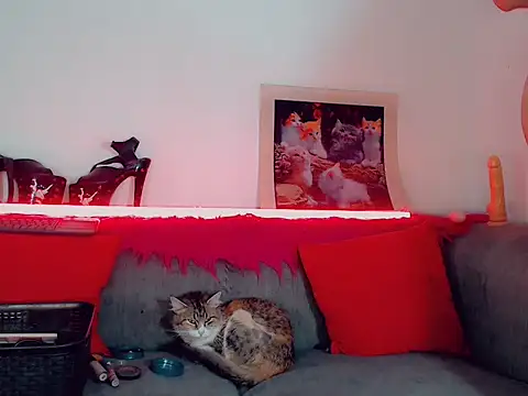 vicky gill online show from 17, 10, 2025