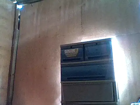 tender amy online show from 29, 9, 2025