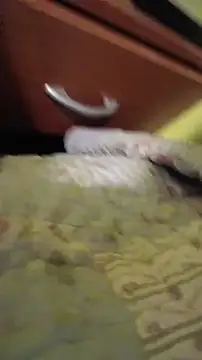 juanfritaa21 online show from 8, 3, 2026