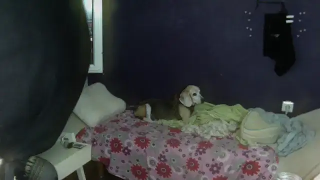 turkishTransEfsun online show from 13, 9, 2025