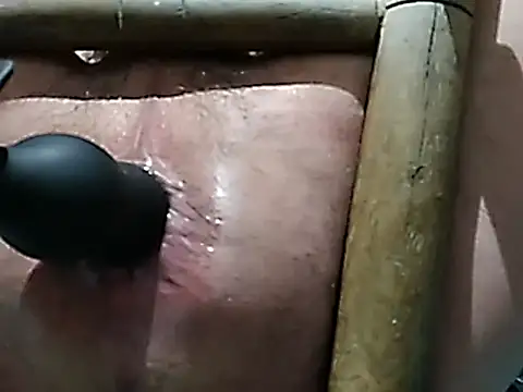 boy888sexy online show from 10, 3, 2026