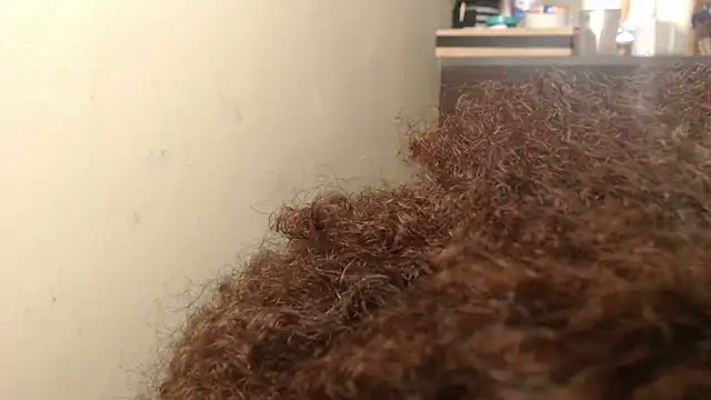 madelene online show from 20, 9, 2025