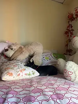 MiaRousexxx  online show from 26, 11, 2025