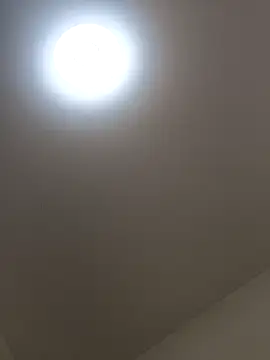 moonflower25 online show from 6, 10, 2025