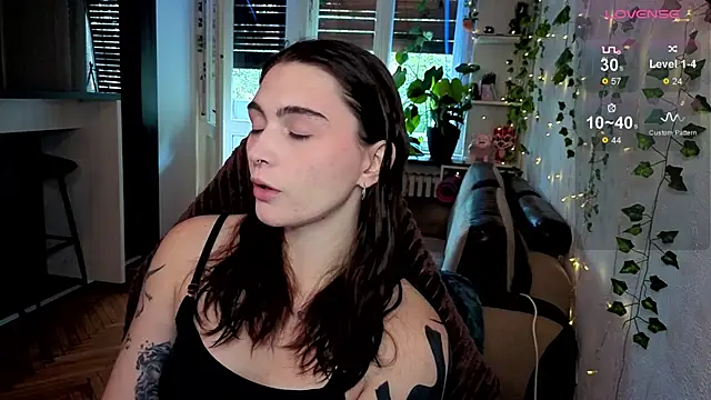 dorfmatratze   online show from 9, 10, 2025