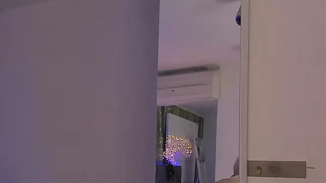 HollyTailors online show from 17, 12, 2025