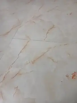 Snapshot of Samantaapu chatting on 16, 11, 2025 Samantaapu online show from 16, 11, 2025