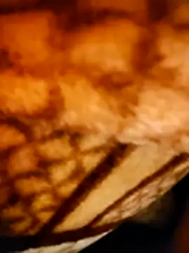 monty935 online show from 22, 12, 2025