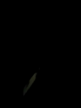 monty935 online show from 30, 11, 2025