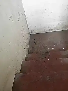 monty935 online show from 26, 2, 2026