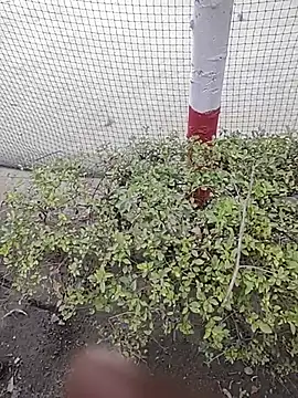 monty935 online show from 4, 12, 2025