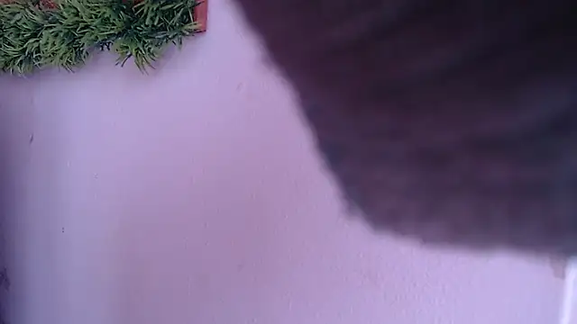 IVONNE COLLINS33 online show from 24, 9, 2025