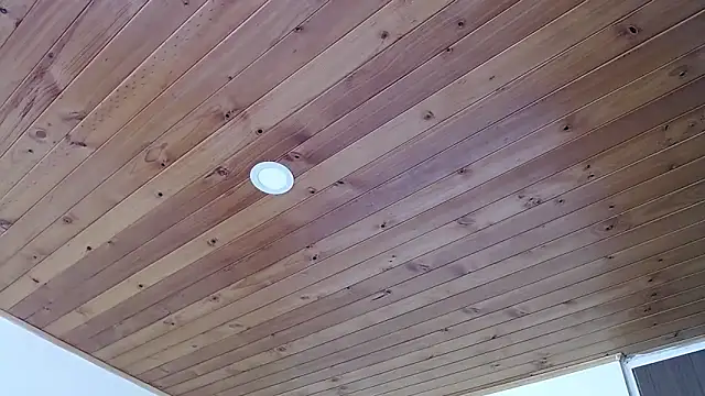 IVONNE COLLINS33 online show from 21, 9, 2025