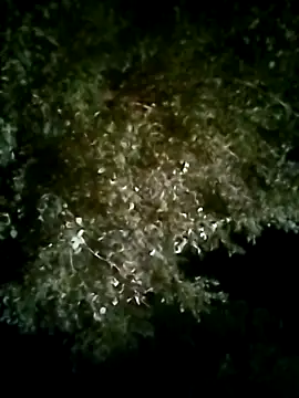 Joshi Love143 online show from 24, 10, 2025