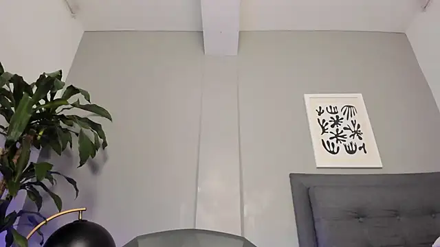Snapshot of Tylerffoxx chatting on 2, 7, 2026 Tylerffoxx online show from 2, 7, 2026