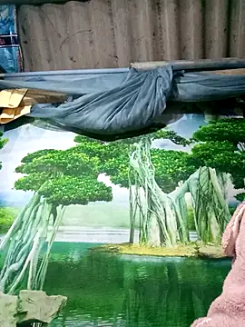 MaiHoa69 online show from 15, 11, 2025