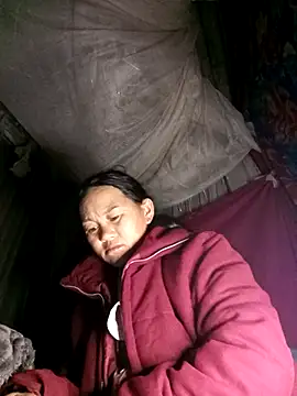 MaiHoa69 online show from 12, 3, 2026