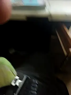 Snapshot of hotboy43339 chatting on 8, 2, 2026 hotboy43339 online show from 8, 2, 2026