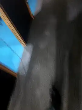 Snapshot of hotboy43339 chatting on 1, 3, 2026 hotboy43339 online show from 1, 3, 2026