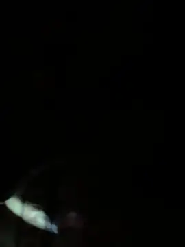 Eat pussy everyday online show from 12, 1, 2026