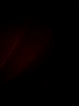 Fran-solo online show from 28, 5, 2026