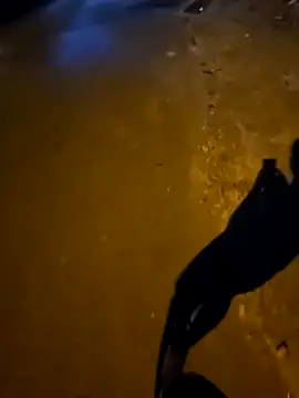 Kunbet online show from 9, 4, 2026