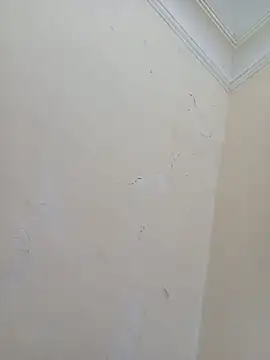 Sondosa3 online show from 5, 10, 2025